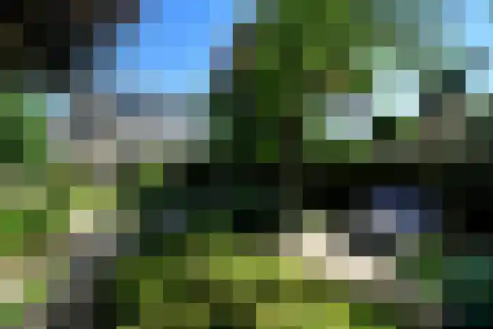 Conference 7 Elst thumbnail 40