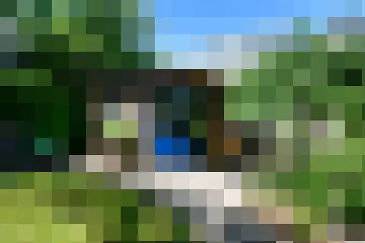 Conference 7 Elst thumbnail 41