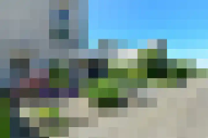 Conference 7 Elst thumbnail 45