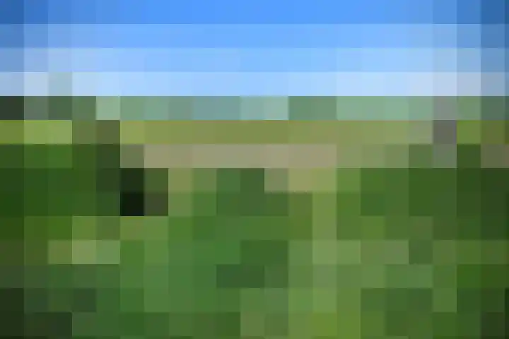 Conference 7 Elst thumbnail 46