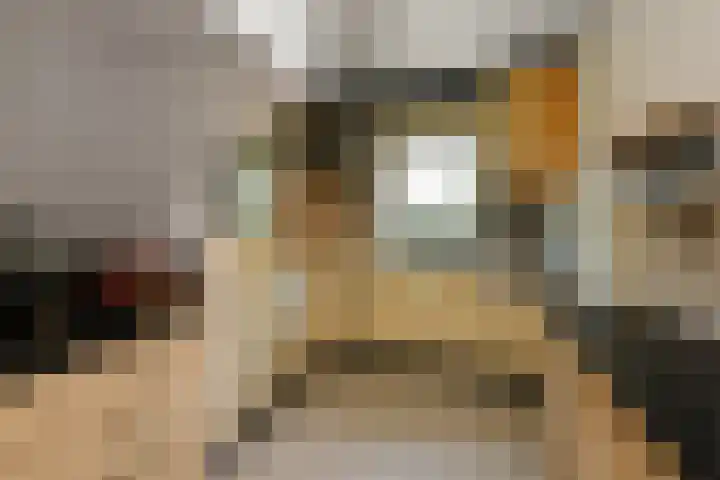 Conference 7 Elst thumbnail 8