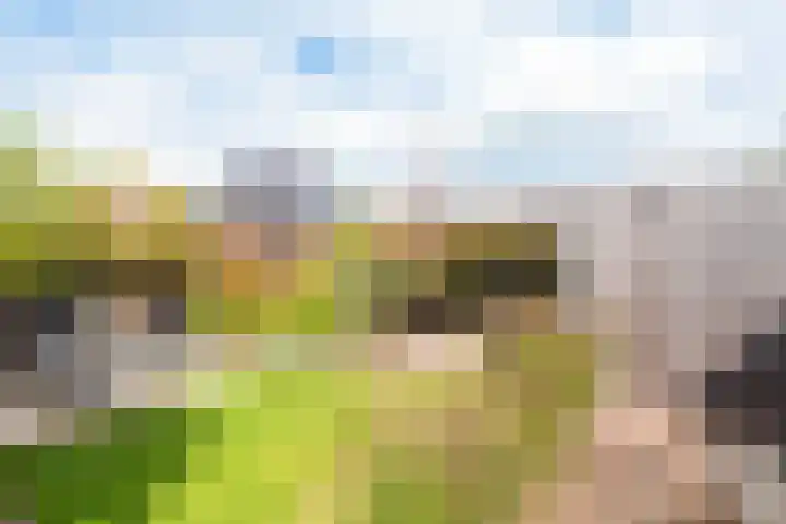 Conferencelaan 46 Wognum thumbnail 34