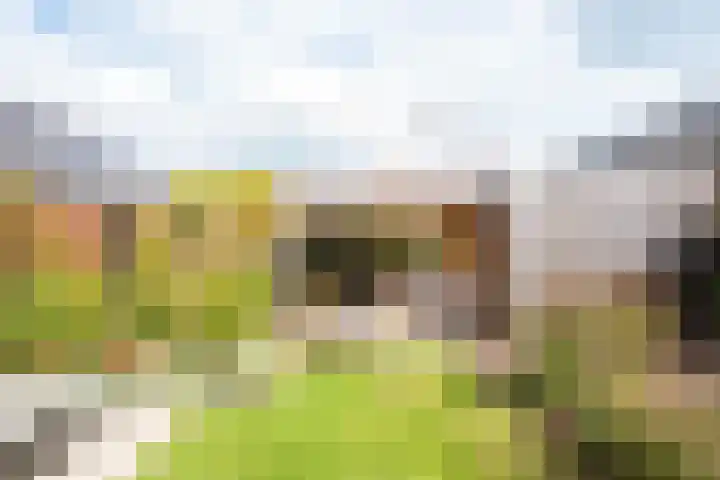 Conferencelaan 46 Wognum thumbnail 35
