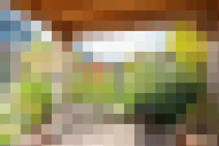 Conferencelaan 46 Wognum thumbnail 38
