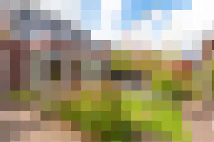 Conferencelaan 46 Wognum thumbnail 40