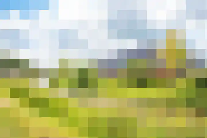 Conferencelaan 46 Wognum thumbnail 42