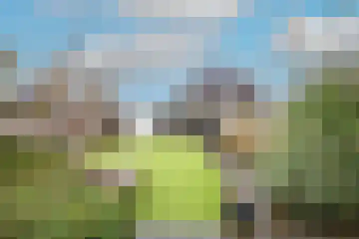 Conferencelaan 52 Wognum thumbnail 37