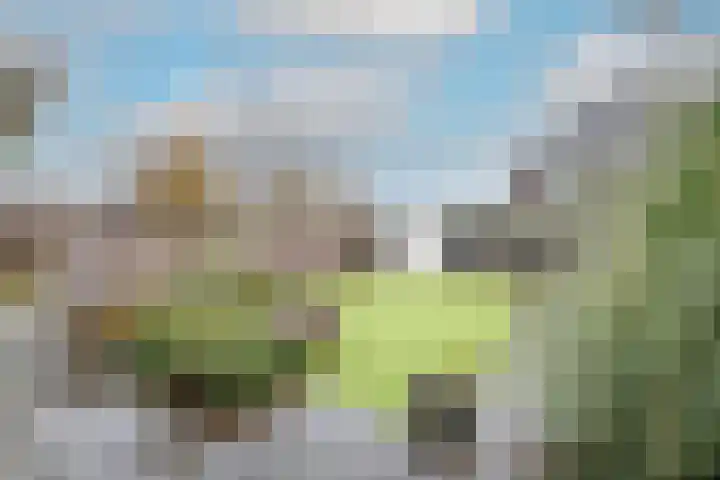 Conferencelaan 52 Wognum thumbnail 38