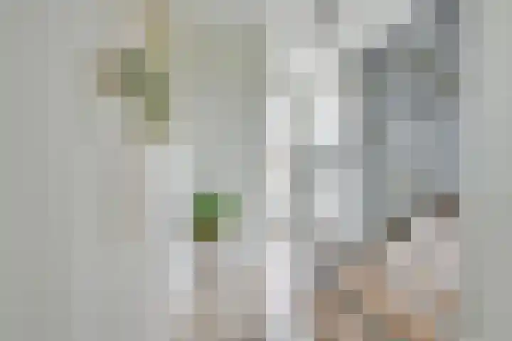 Conferencelaan 52 Wognum thumbnail 8