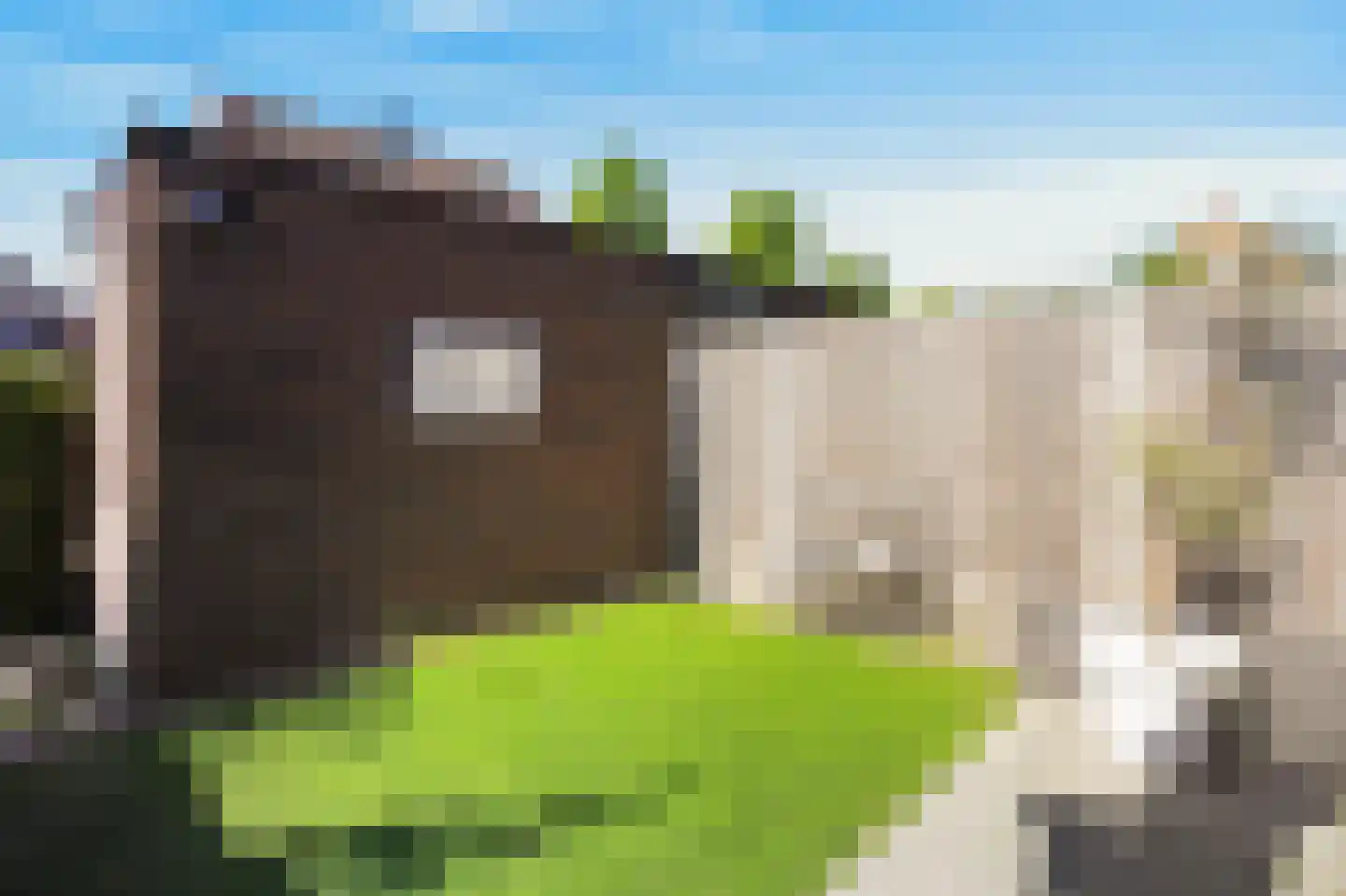 Conferenceperenlaan 14 Vleuten thumbnail 14