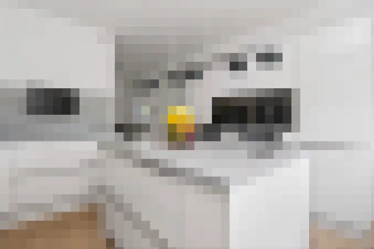 Conferenceperenlaan 14 Vleuten thumbnail 6