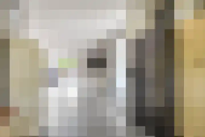 Conferenceperenlaan 9 Vleuten thumbnail 11