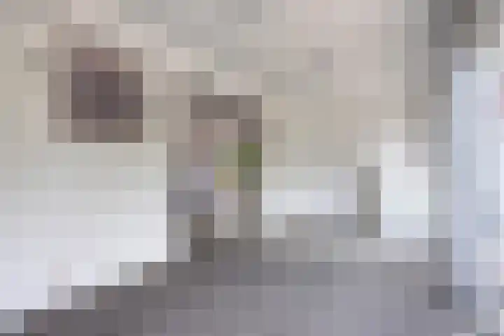 Conferenceperenlaan 9 Vleuten thumbnail 14