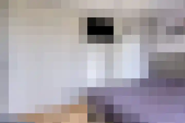 Conferenceperenlaan 9 Vleuten thumbnail 30