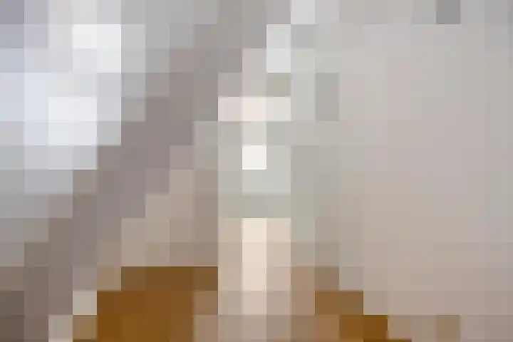 Conferenceperenlaan 9 Vleuten thumbnail 42