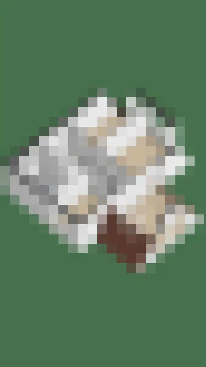 Conferenceperenlaan 9 Vleuten thumbnail 46