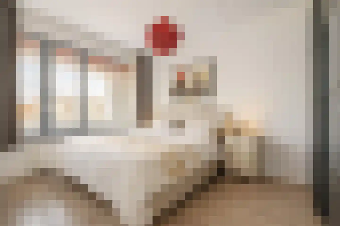 Confuciusplein 59 Amsterdam thumbnail 9