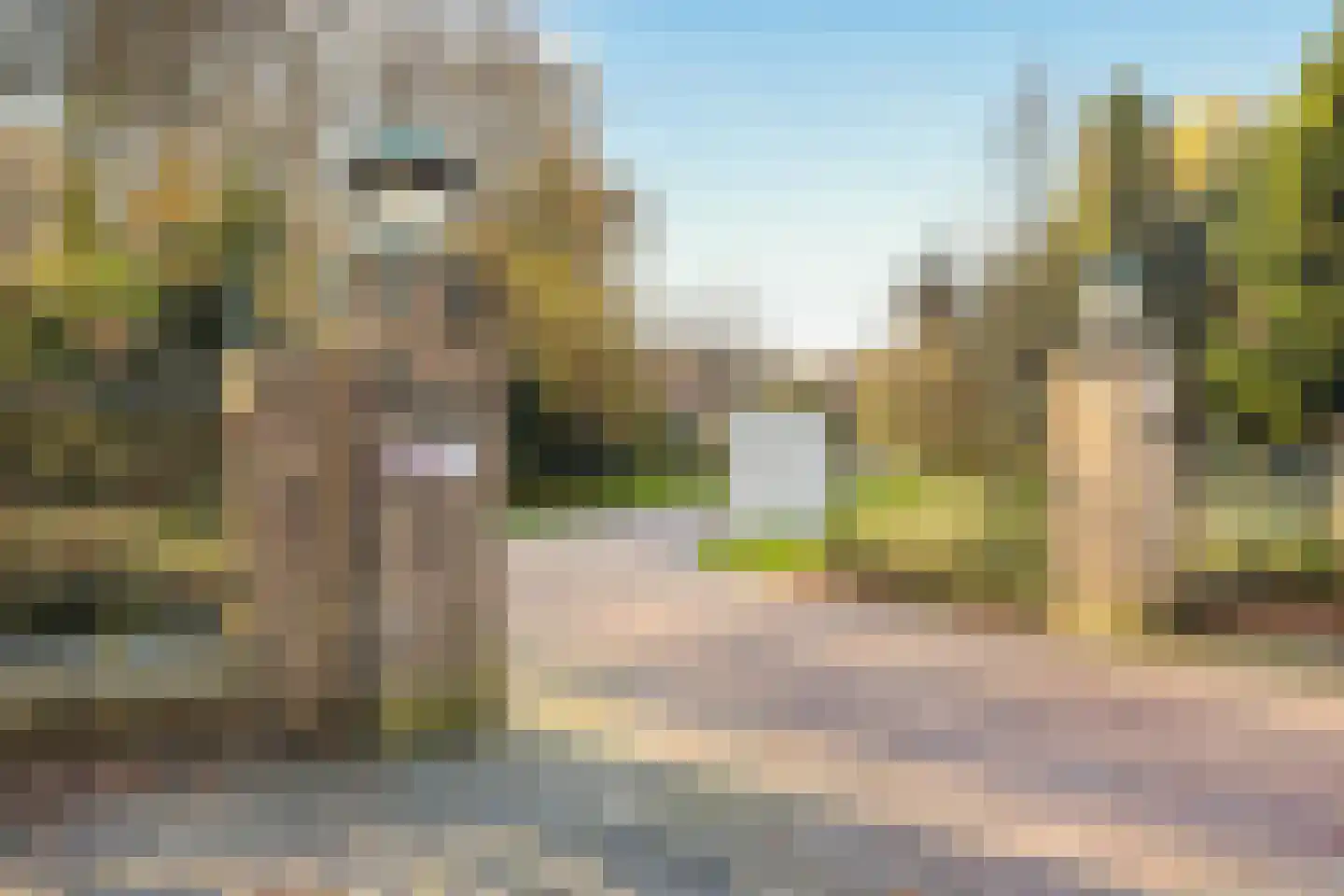 Congregatie 54 Amersfoort thumbnail 14