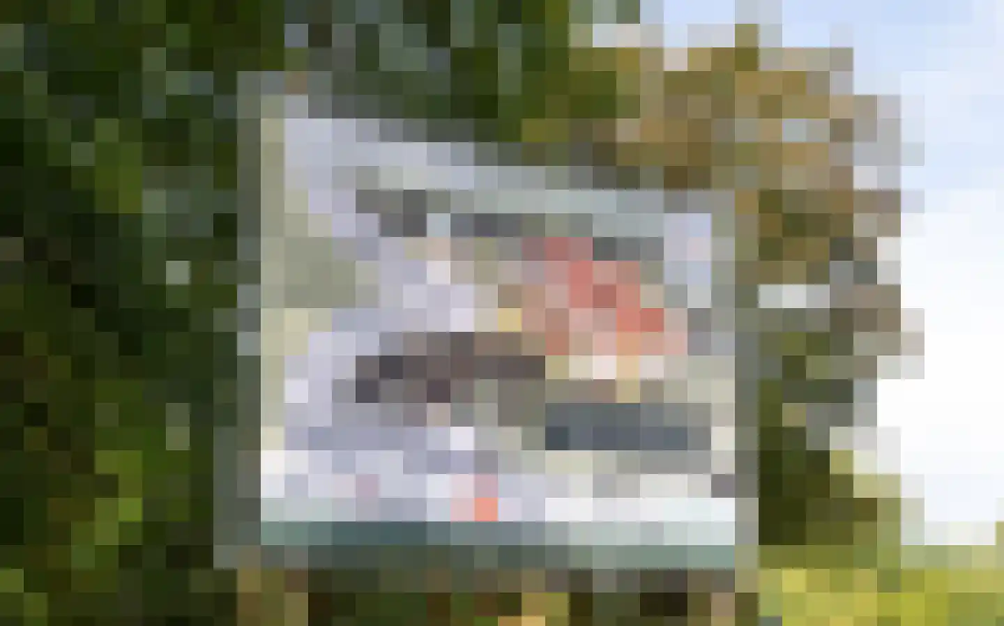Congregatie 58 Amersfoort thumbnail 16