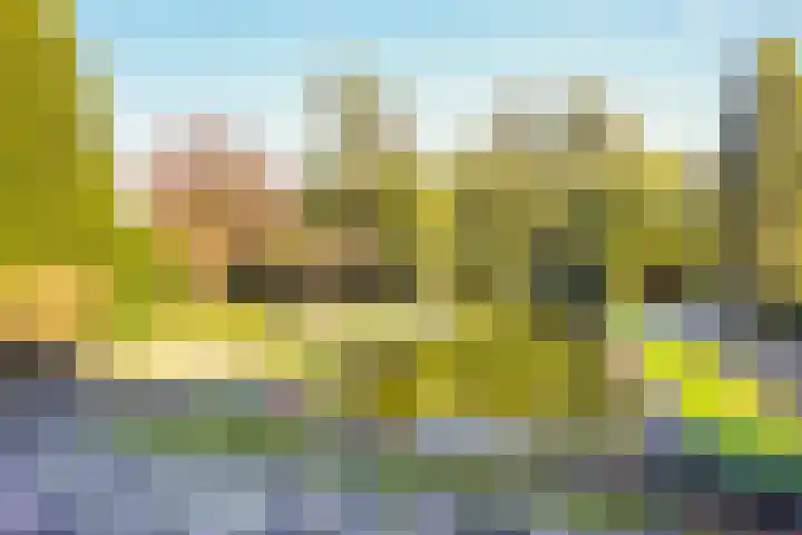Congregatie 68 Amersfoort thumbnail 14