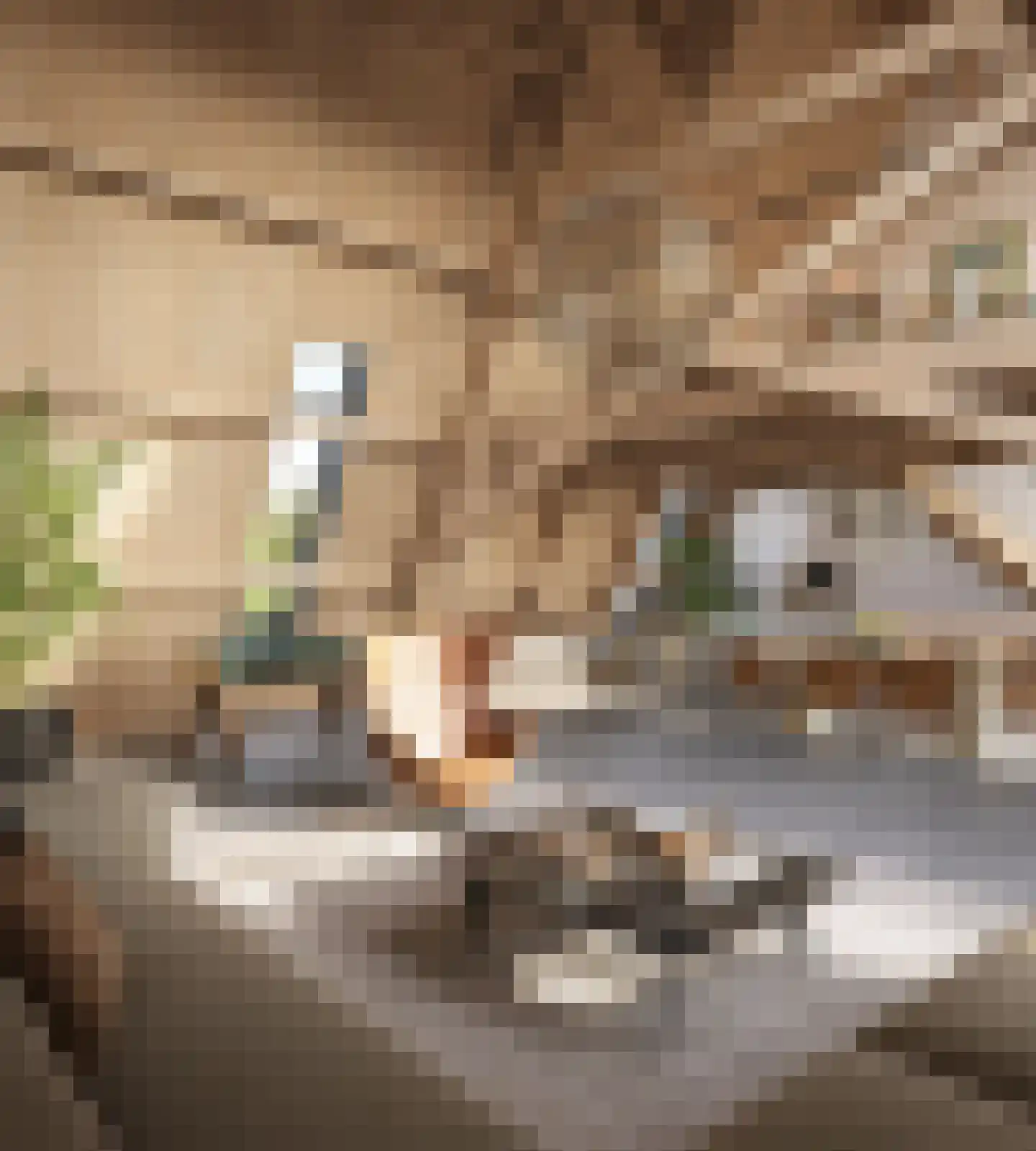 Congregatie 76 Amersfoort thumbnail 4