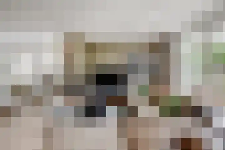 Coniferenhout 32 Barendrecht thumbnail 11