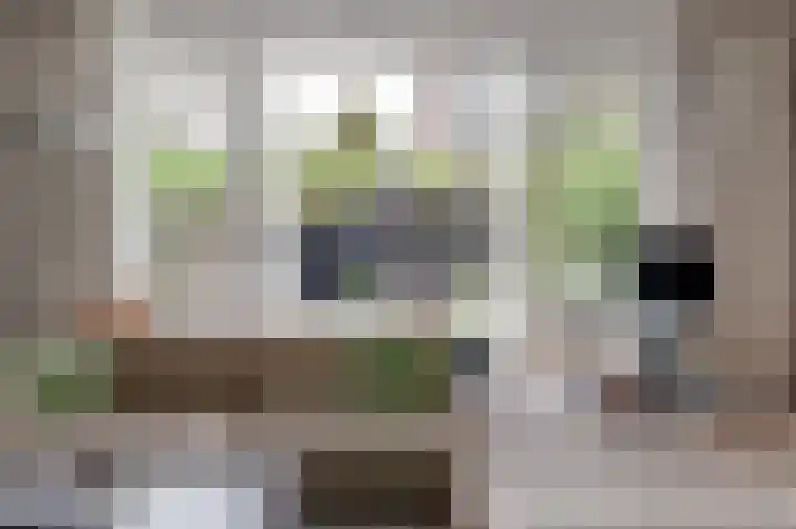 Coniferenhout 32 Barendrecht thumbnail 12