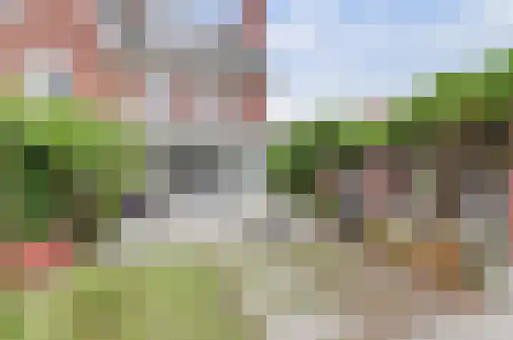Coniferenhout 32 Barendrecht thumbnail 38