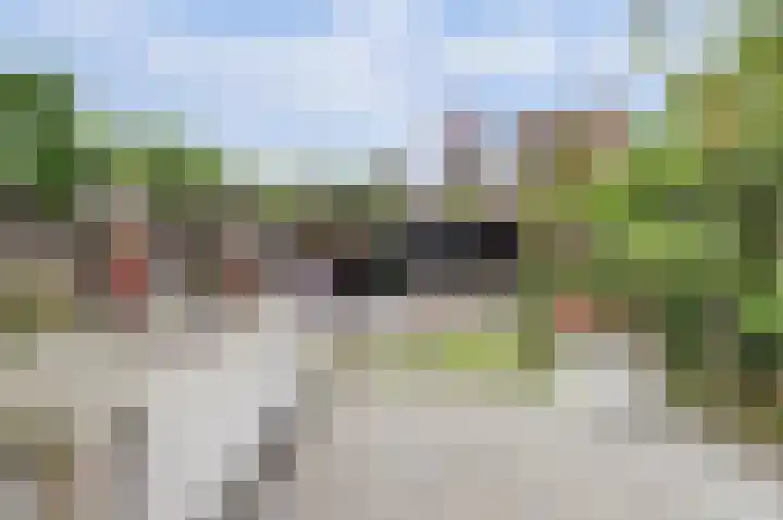 Coniferenhout 32 Barendrecht thumbnail 39