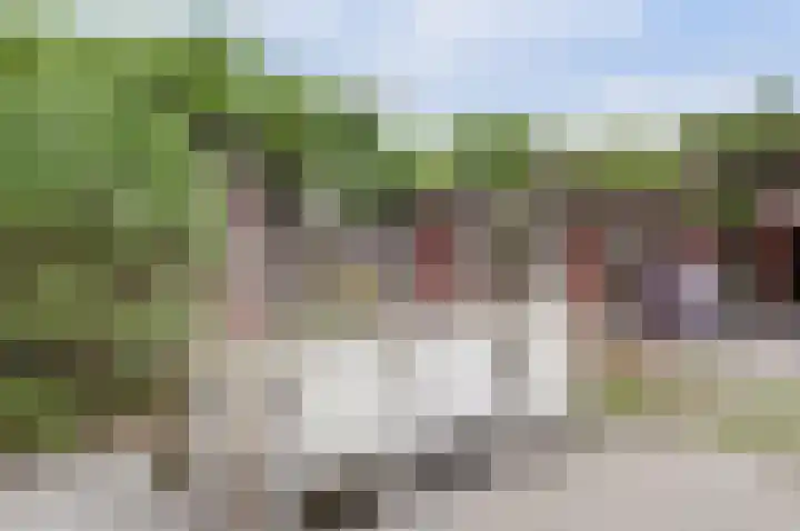 Coniferenhout 32 Barendrecht thumbnail 40