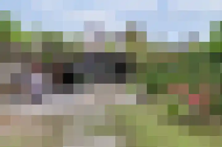 Coniferenhout 32 Barendrecht thumbnail 41