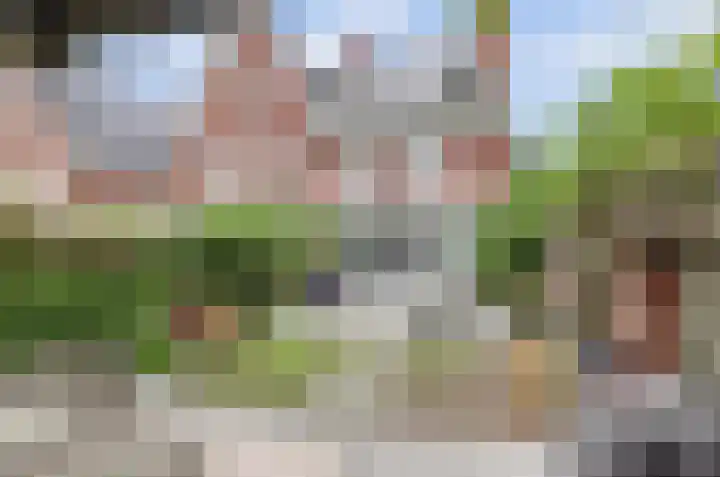 Coniferenhout 32 Barendrecht thumbnail 5