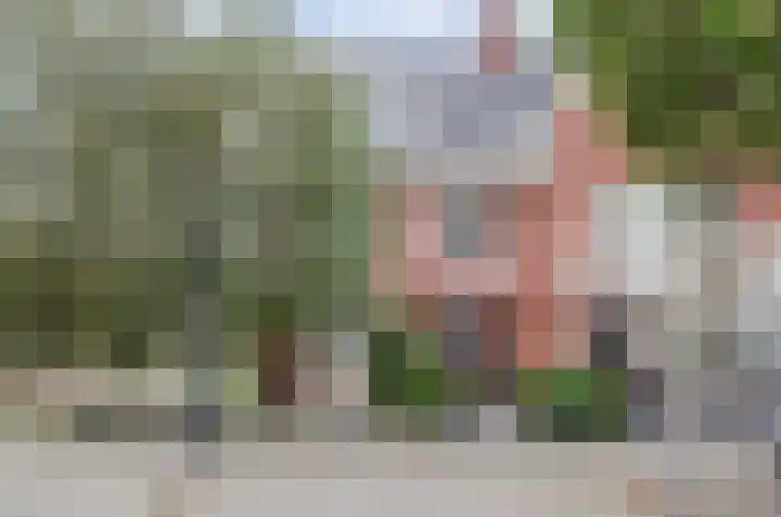 Coniferenhout 32 Barendrecht thumbnail 6