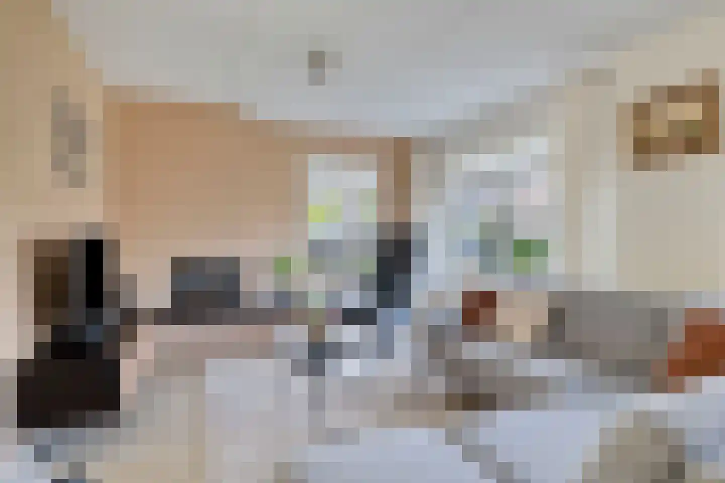 Coniferenlaan 16 Veenendaal thumbnail 11