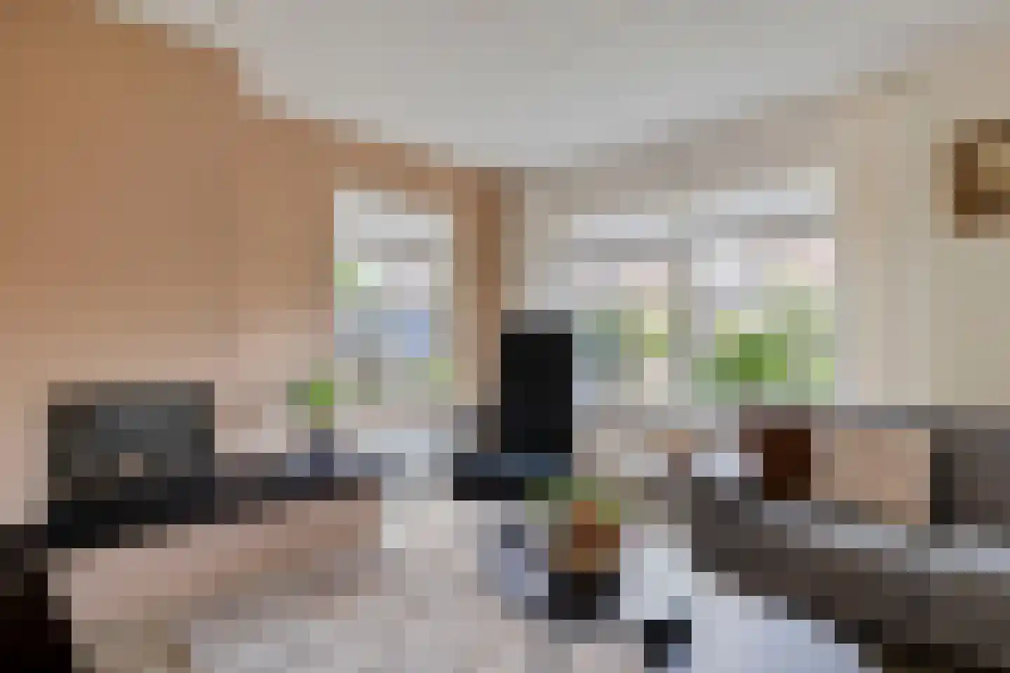Coniferenlaan 16 Veenendaal thumbnail 12