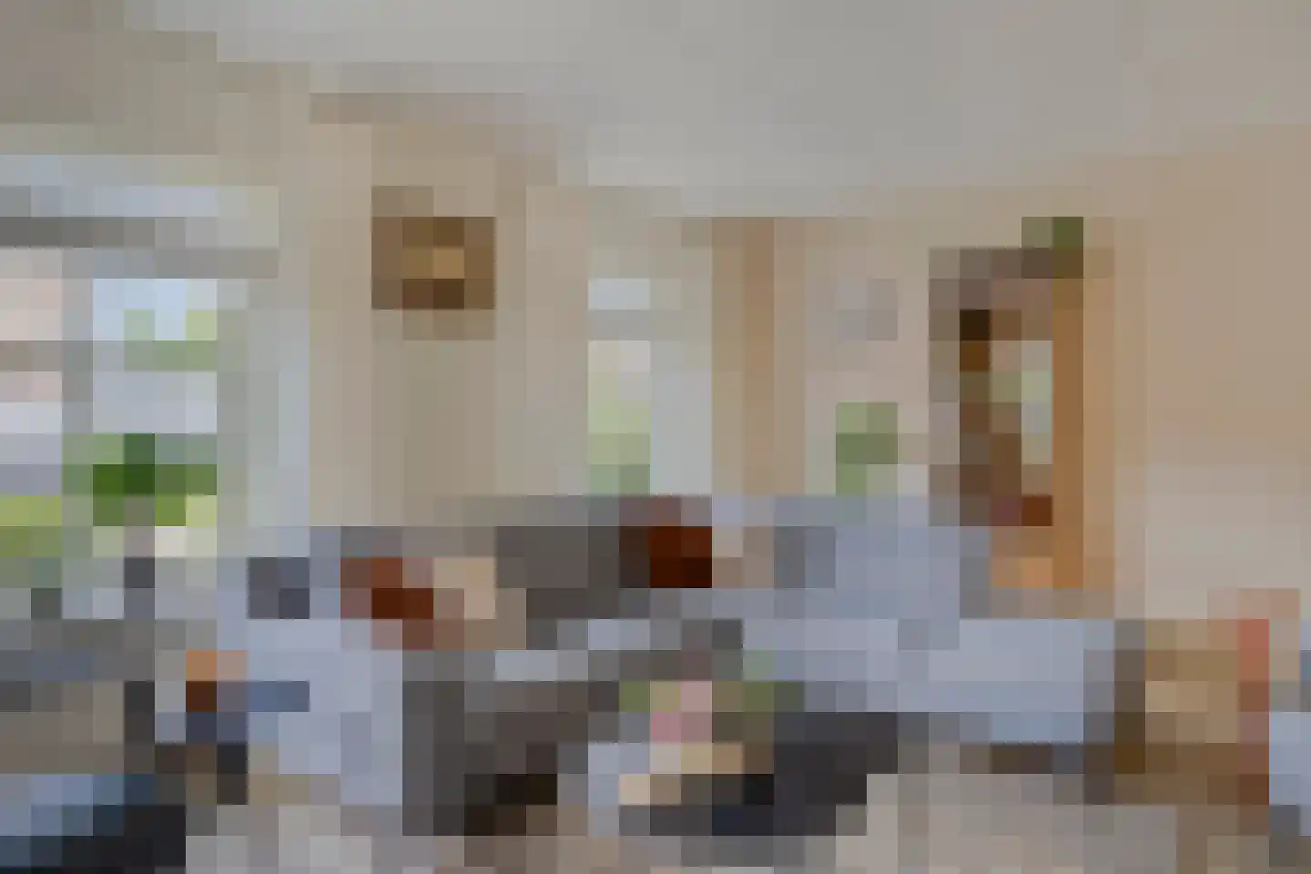 Coniferenlaan 16 Veenendaal thumbnail 14