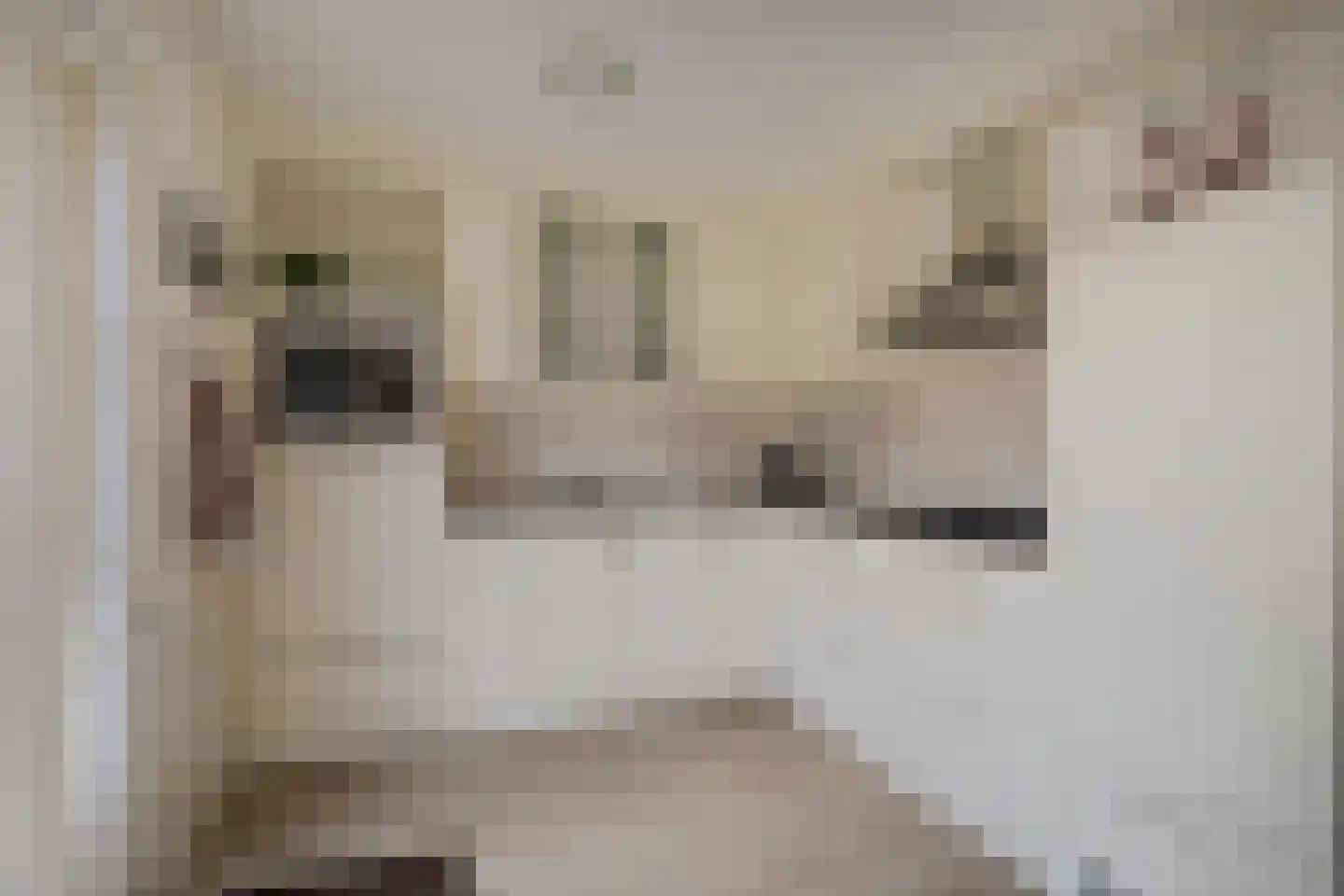 Coniferenlaan 16 Veenendaal thumbnail 21