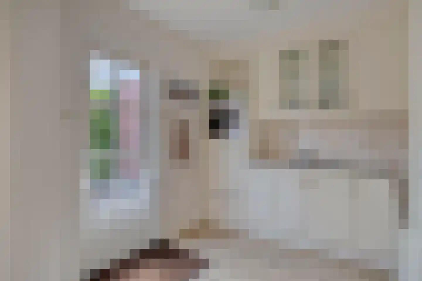 Coniferenlaan 16 Veenendaal thumbnail 23