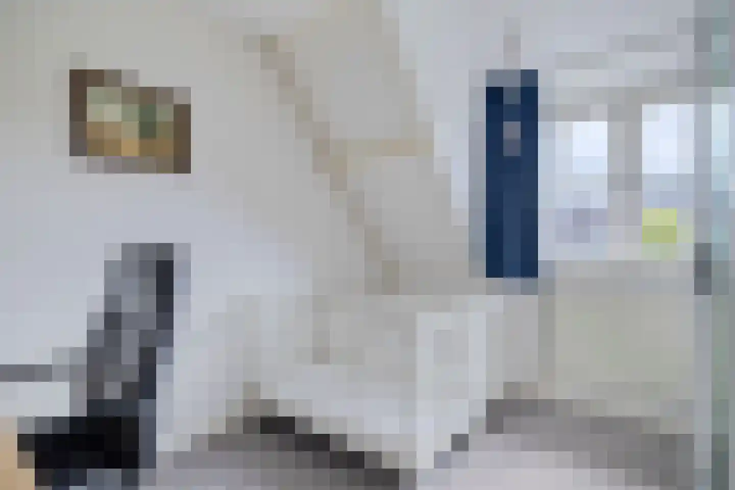 Coniferenlaan 16 Veenendaal thumbnail 31