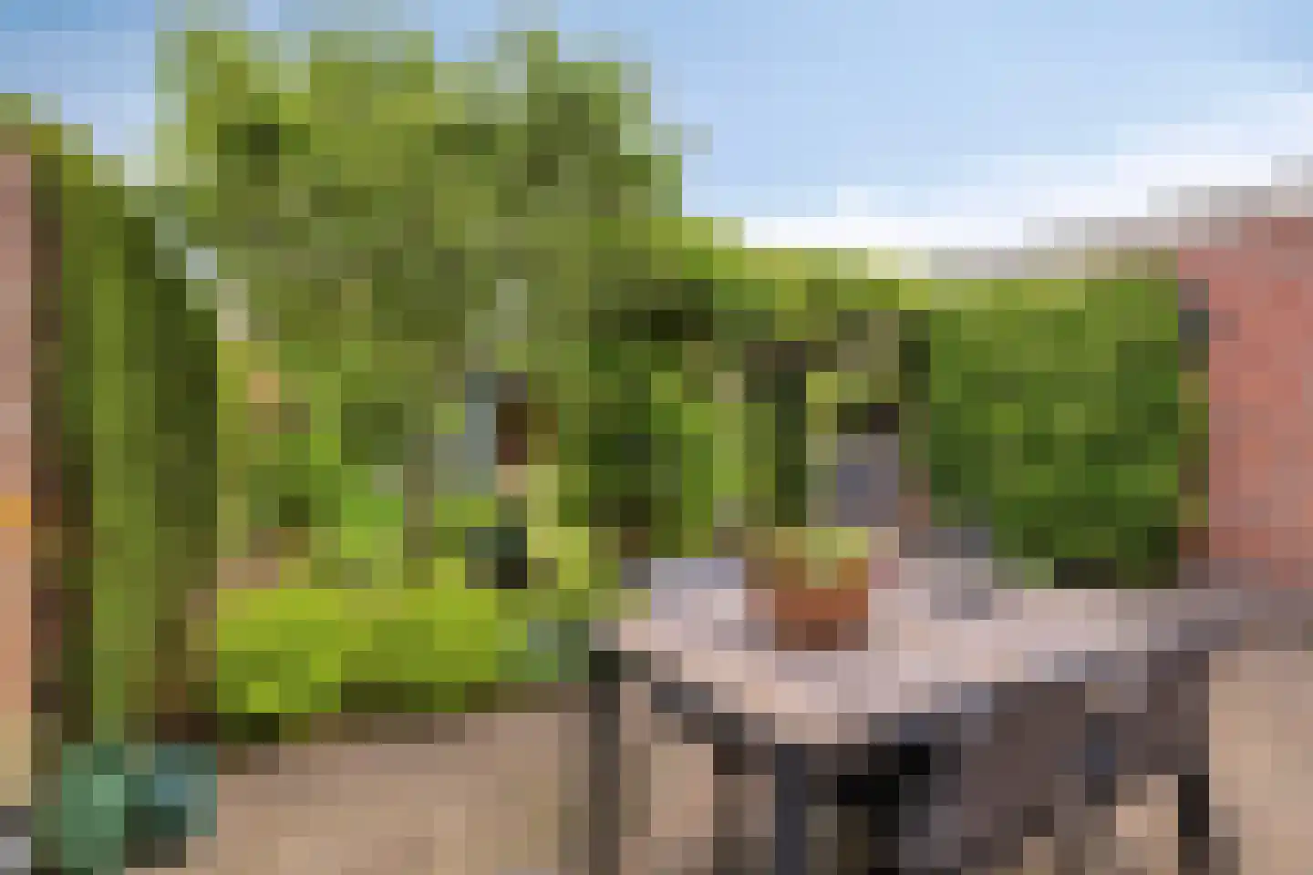 Coniferenlaan 16 Veenendaal thumbnail 42