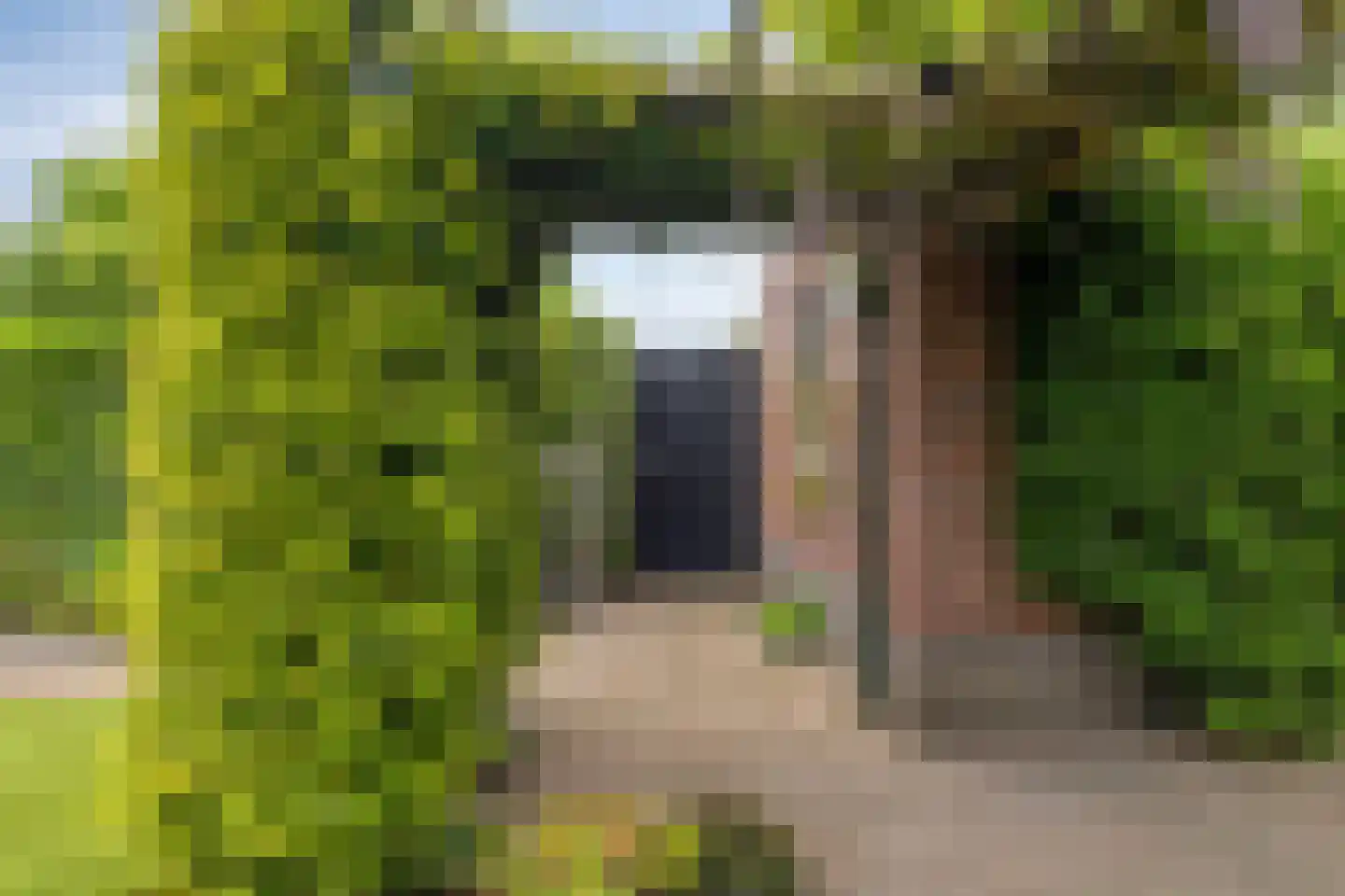 Coniferenlaan 16 Veenendaal thumbnail 44