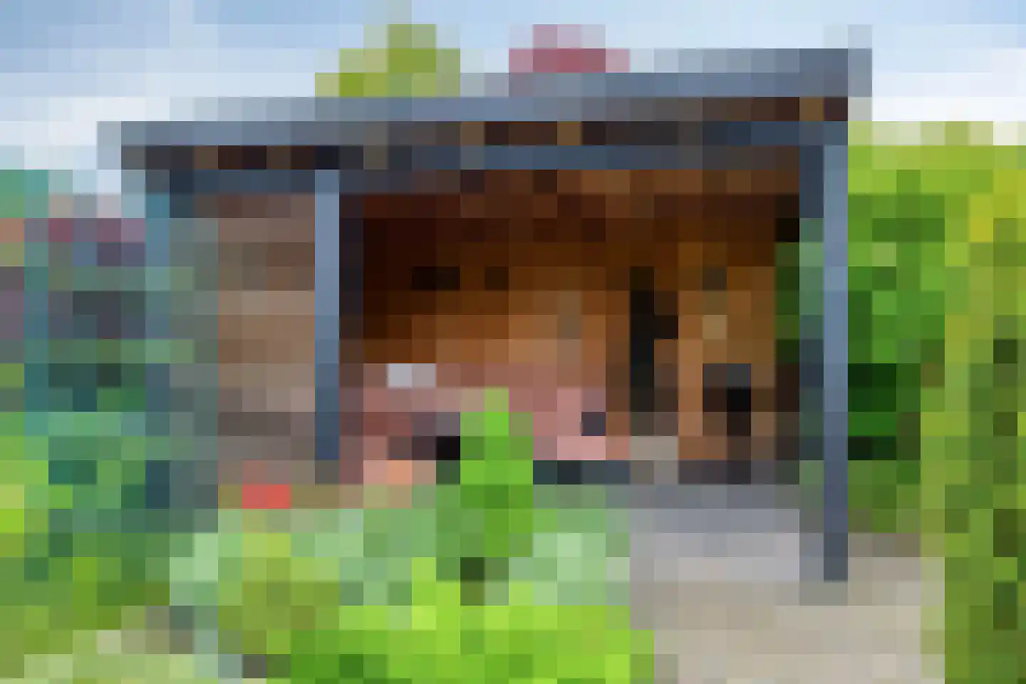 Coniferenlaan 16 Veenendaal thumbnail 47