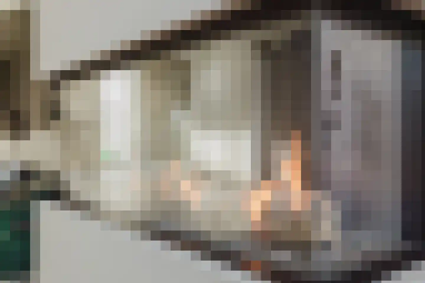 Conijnsberghe 4 Rijsbergen thumbnail 13