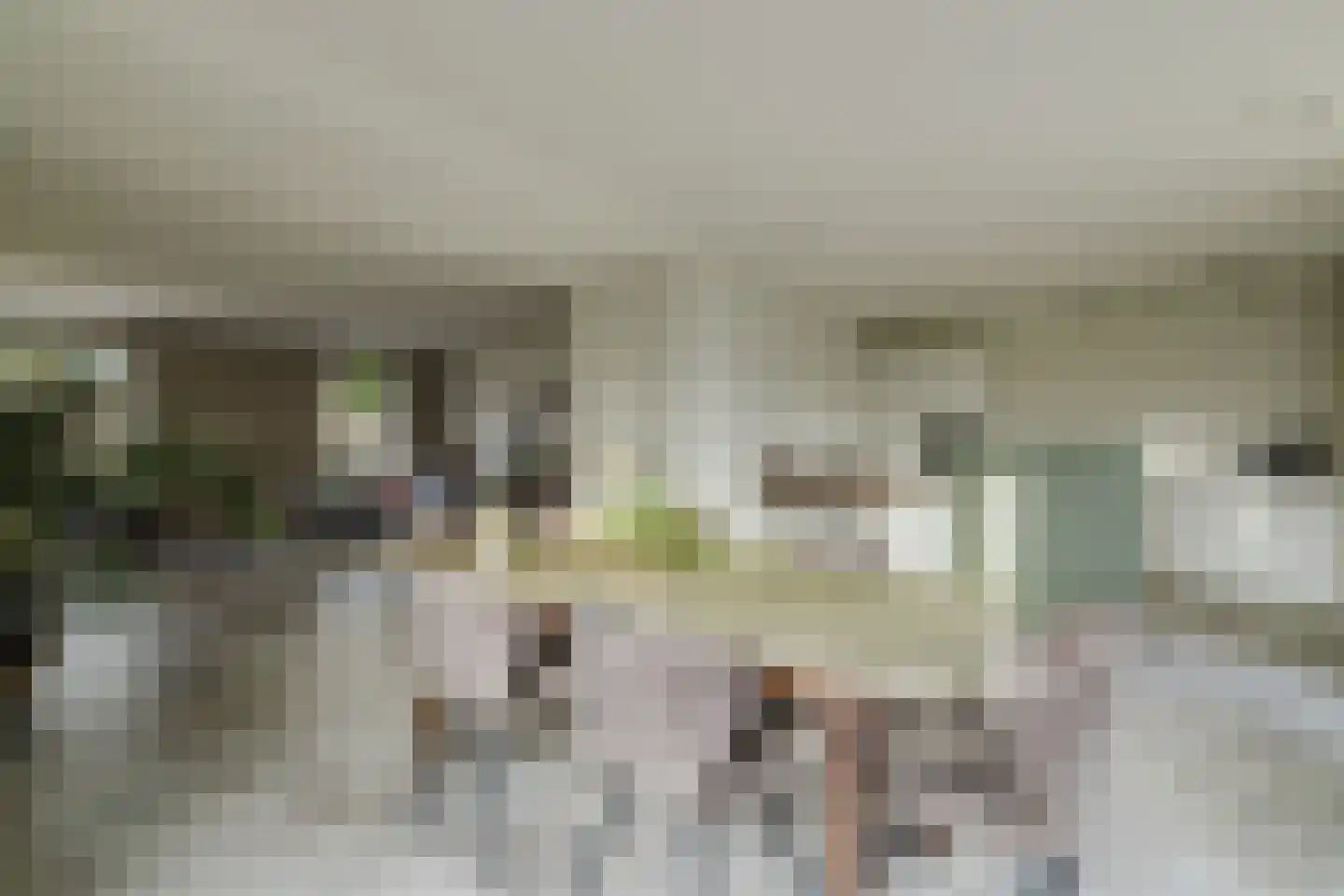 Conijnsberghe 4 Rijsbergen thumbnail 18