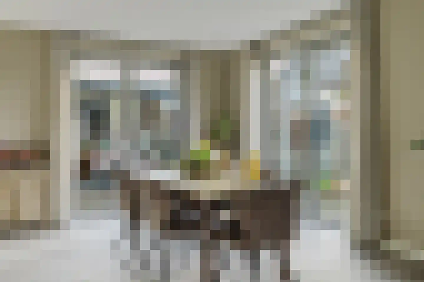 Conijnsberghe 4 Rijsbergen thumbnail 20