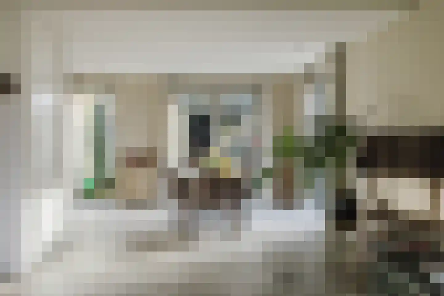 Conijnsberghe 4 Rijsbergen thumbnail 21