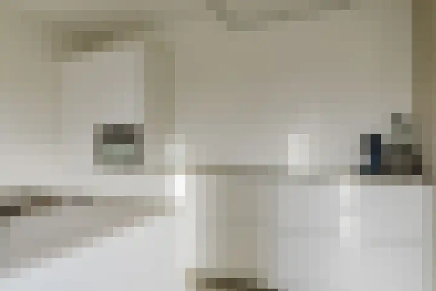 Conijnsberghe 4 Rijsbergen thumbnail 25