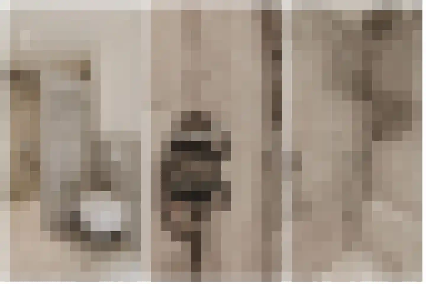 Conijnsberghe 4 Rijsbergen thumbnail 31