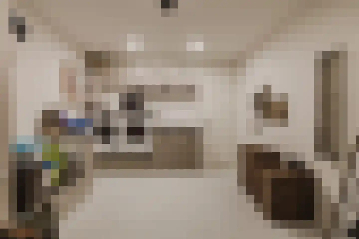 Conijnsberghe 4 Rijsbergen thumbnail 33