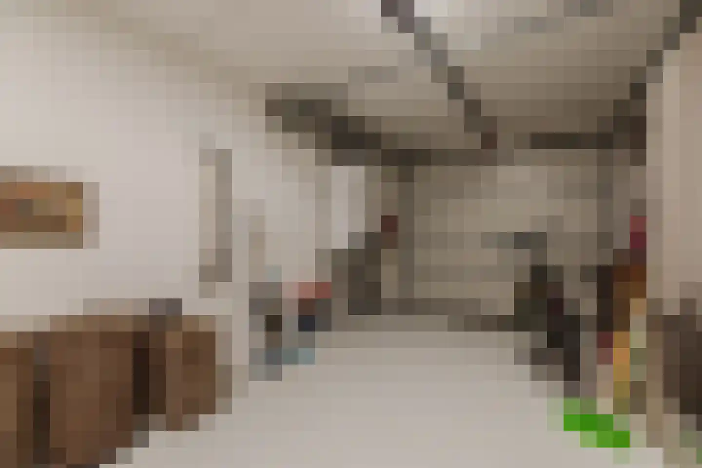 Conijnsberghe 4 Rijsbergen thumbnail 34